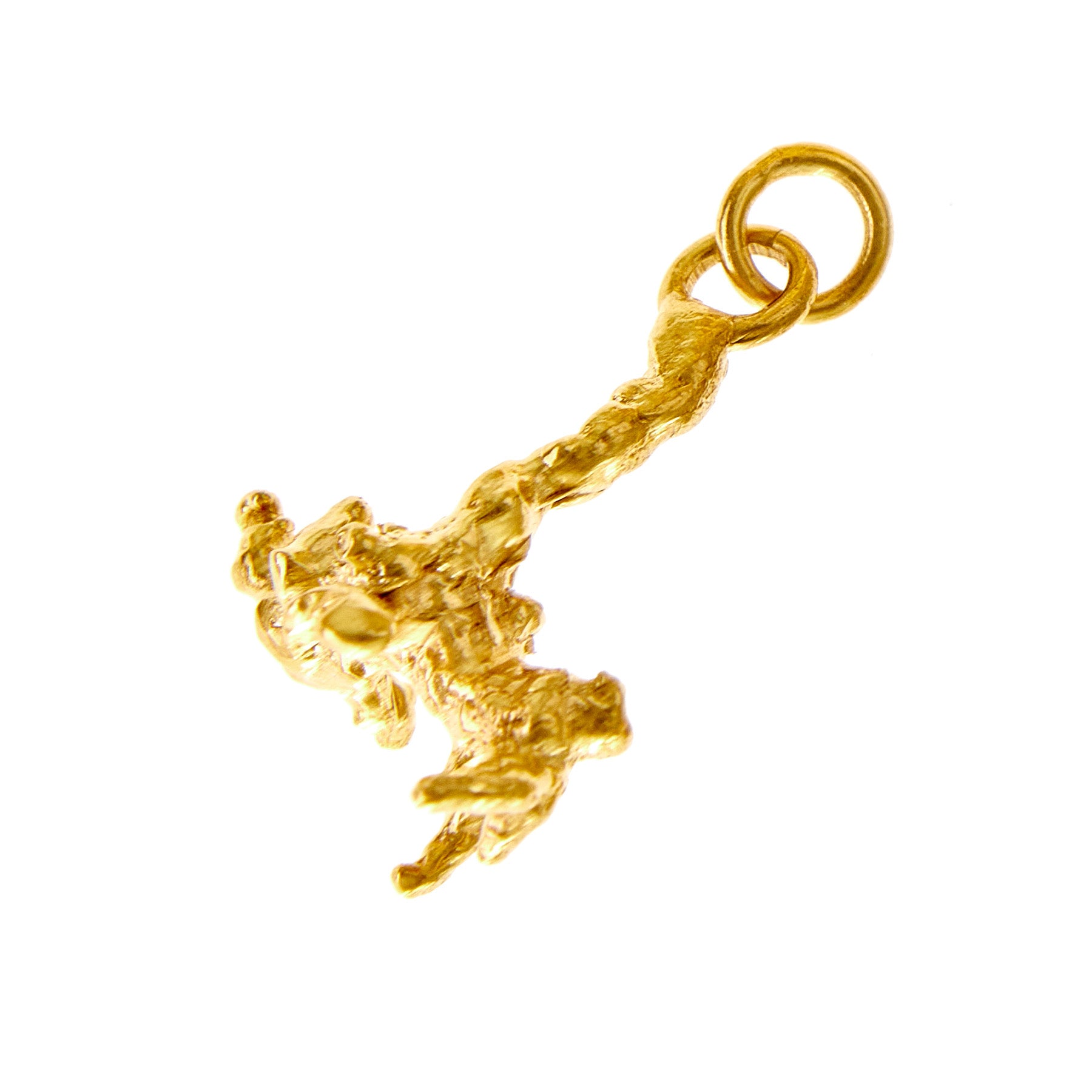 Corallia Rhiza Charm - Gold Plated Brass