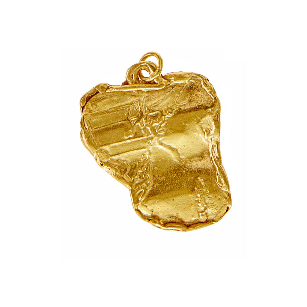 Navigatio Darwin Charm - Gold Plated Brass